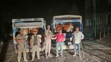 Siirt'te çaldığı büyükbaş hayvanı satarken yakalanan hırsız tutuklandı