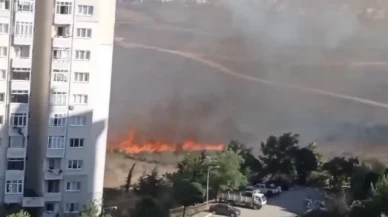 Tuzla'da orman yangını