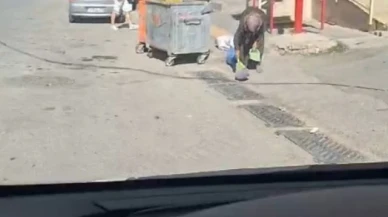 Yaşlı kadının çevre duyarlılığı