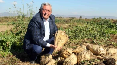 Çiftçi pancar şekeri fiyatından memnun değil