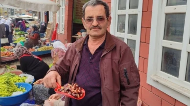 Kışın habercisi kestane, pazara indi
