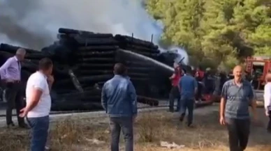 Tomruk yüklü tır alevlere teslim oldu