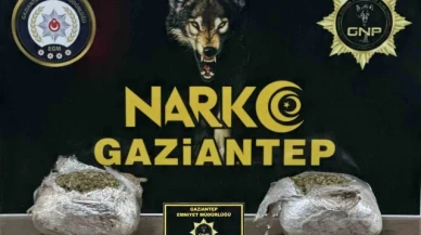 1.5 kilogram skunk ele geçirildi