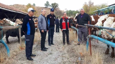 6 aydır kapalı olan Tosya Hayvan Pazarı yeniden açıldı