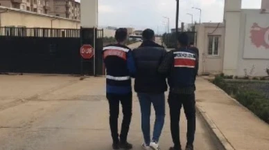 Jandarmanın yakaladığı 43 hırsızlık şüphelisi tutuklandı