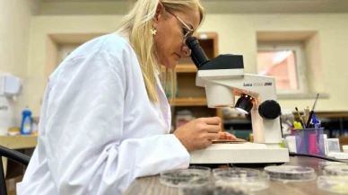 Sır ölümlerin ipuçlarını 'sinekler' ve 'böcekler' veriyor