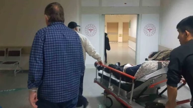 Sürüyü otlatırken ayı saldırısına uğrayan 2 kişi ölümden döndü
