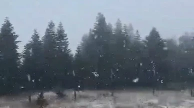 Yüksek kesimlerde kar yağışı etkili oldu