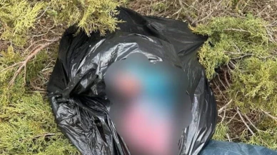 Kaçak avcılık yapan 2 şahsa 308 bin lira ceza kesildi