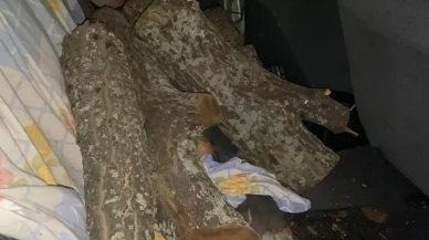 Odun hırsızı suçüstü yakalandı