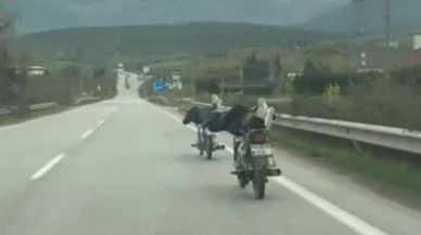 Ölümle dans ettiler: Motosikletin üzerinde tehlikeli yolculuk