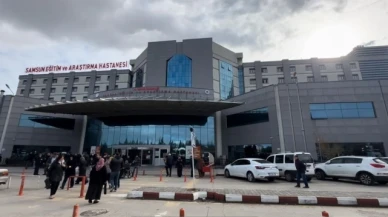 7 yılda görülen uyuz sayısı son 1 yılda görüldü