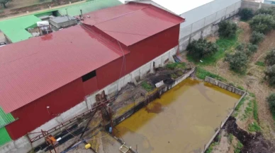Depodan sızan tonlarca zeytinyağı araziye yayıldı