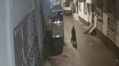 En vicdansız hırsız