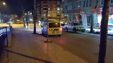 Kardeş kavgası kanlı bitti