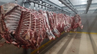 Kırmızı Et Ürünlerinin Satışları Devam Ediyor