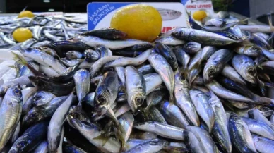 Olumsuz hava şartları sonrası avlanma azaldı, balık fiyatları 2'ye katladı