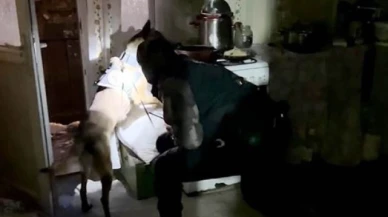 Bitlis'te uyuşturucu operasyonu: 9 tutuklama