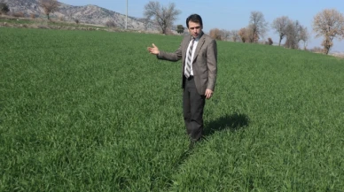Çetin, Buğday Ekim Alanlarında İncelemelerde Bulundu