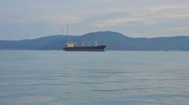 İstanbul Boğazı'nda feci olay: Kılavuz kaptan hayatını kaybetti