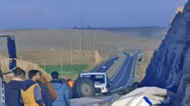 Seyir halindeki gıda yüklü tır devrildi