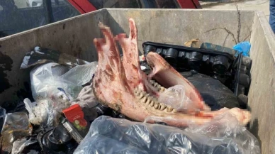 At kesen şahıs yakalandı