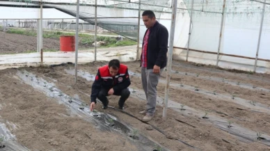 Çetin, Seracılık Yapan Çiftçiyi Ziyaret Etti