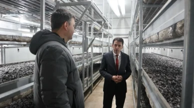 Çetin, Süreçleri Yerinde İnceledi
