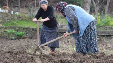 Gençler tarlaya girmiyor