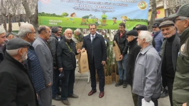 Merzifon’da Fidan Dağıtımı Gerçekleştirildi