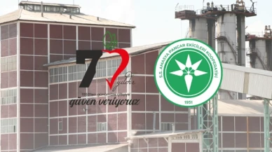 Pancar Bedelleri 8 Mart’ta Ödeniyor
