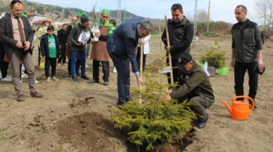 Taşova'da Fidanlar Toprakla Buluşturuldu