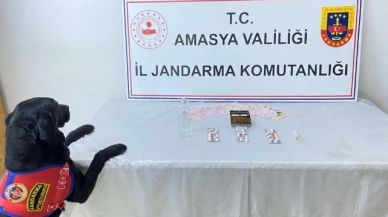 Amasya’da uyuşturucu operasyonu: 1 gözaltı