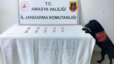 Amasya’da uyuşturucu operasyonu: 1 gözaltı
