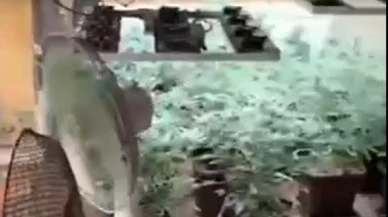Evde "Zehir" serası