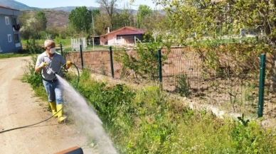 Hamamözü’nde İlaçlama Çalışmaları Devam Ediyor