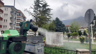 Haşere ve Sineklere Karşı İlaçlama Çalışmaları Sürüyor