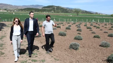 Kaymakam Büyükkaymakcı, Lavanta Bahçesini Gezdi