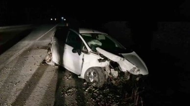 Köpeğe çarpan otomobili görünce manevra yaptı, aracıyla şarampole uçtu