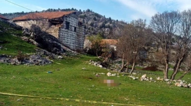 Mezarlık ziyaretine giden yaşlı kadına çoban köpekleri saldırdı
