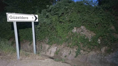 Tokat'ta kene istilası: "Her yerde kene var. Bu sene tutmadı ama tutmayacak diye bir kural yok"