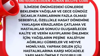 Amasya'da Kiraz Üreticilerine Yağış ve Sıcaklık Uyarısı