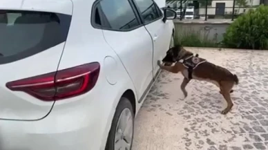 Aracın marşpiyeline zulalanmış uyuşturucu ele geçirildi: 4 tutuklama