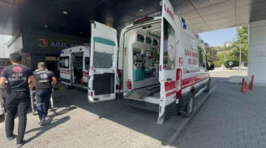 Arazi kavgası: 3 yaralı