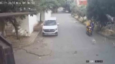Bilye atan havalı tabancayla köpeğe ateş açtı