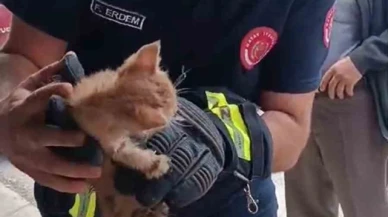 Boruya sıkışan yavru kedi, itfaiye ekipleri tarafından kurtarıldı