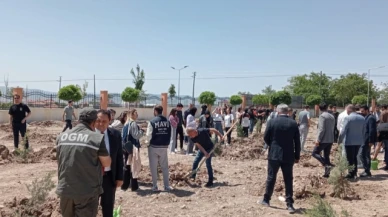 Fakülte bahçesi yeşilleniyor