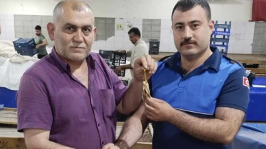 Kayıp altınları zabıta sahibine teslim etti