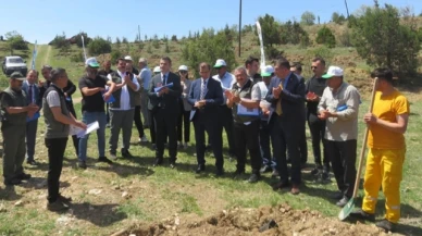 Merzifon’da 3 Bin Adet Kuşburnu Fidanı Dikildi
