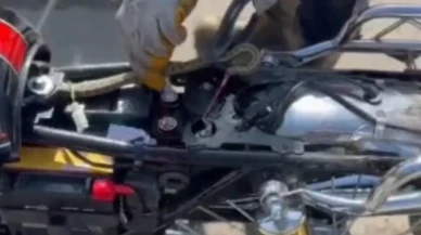 Motosiklete giren yılan, ekipler tarafından çıkarıldı